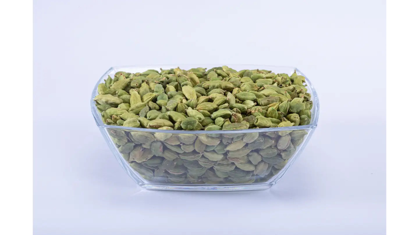 Cardamom Green Bold